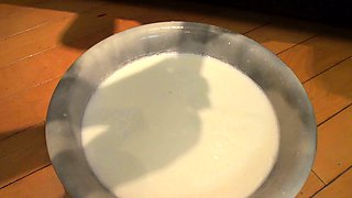 Orgasm Loving Amateur Masturbating Fingering Sex Toys