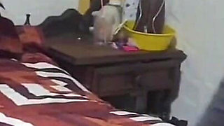 Homemade Sex with a College Girl, I Tell Her I'll Put It in Her Without a Condom Because I Like to Feel Her Ass - Part 1