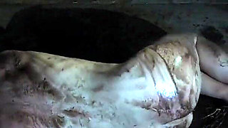 The Countess's Dog Is Fed and Dragged Across the Dungeon Floor