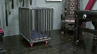 Family Gone Wild, Little Sister Decides Everything – CLUB