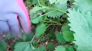 Fun mit Brennessel - Fun with stinning nettles