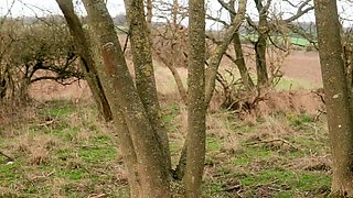 Beautiful Brunette Big Boobs Rides Fake Cock