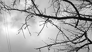 Peeing in the nature