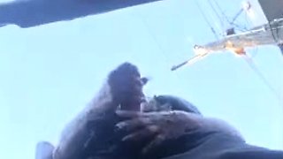 Cadence Caliber Quick Stop To Masturbate In Public