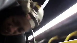 Brain's Blowjob on the Bus