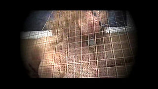 Busty Black Girl Takes a Big Black Cock in Her Mouth and Pussy