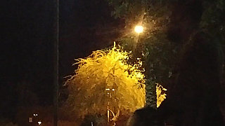 Thick BBW Wife Public Fun!