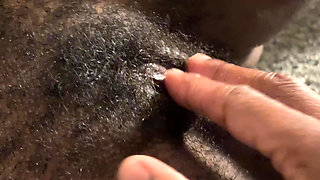 My neighbor is a pervert vol #1