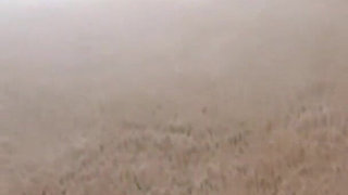 Sexy Body with a Black Lock