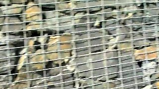 PornstarsAtHome-Jesicca Neidth - Super Cute Sweety Gives