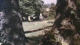 Classic Old Porn