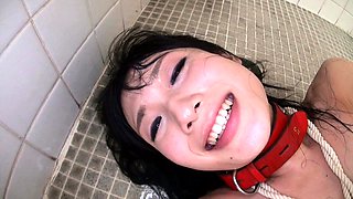 Real amateur college coed teens blowjob cumshot