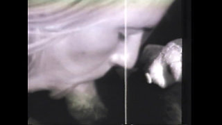 The Appetizing Sucker