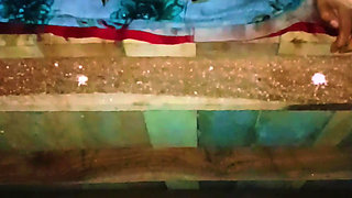 Sister-in-law's bad fucking and spreading both her legs, put the whole penis and took out the piss from the pussy.