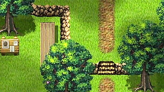 Wet Dreams with a Mermaid