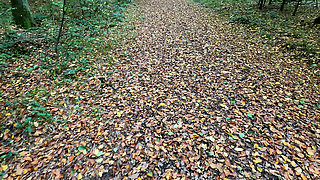 Topless and Barefeet Tit Punishment in the Woods