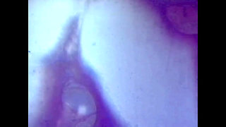 The Dirty Pig Prostitute