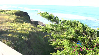 Virtual Vacation