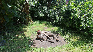 Muddy Start to the Year