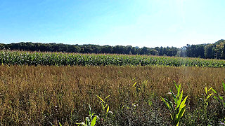 Naked Tits Banging Between the