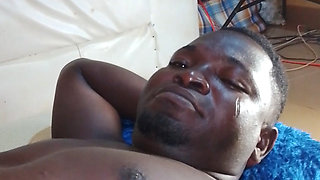 This African black cock is soft