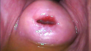 Extreme Close-up Pussy Cam