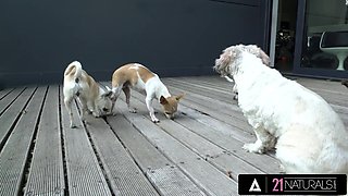 Sensual fuck with skinny flat-cheasted Akira May