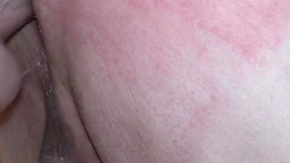 The House Wifes Bitch