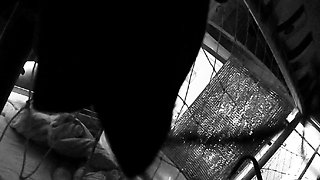 Amateur Hidden Cams Reveal Cock Riding Hoes