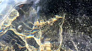 Sisi Rose SNORTS My cum , real public outside pool sex-