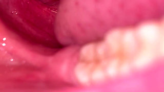 Mouth Tour