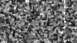 Tyler's fantasy movie