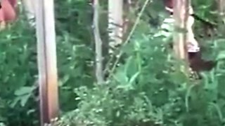 Spying blonde hooker fucking in the woods