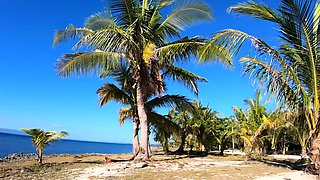 Public Beach Barebacking
