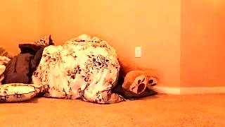 Hot amateur teen in a private show masturbating with a dildo