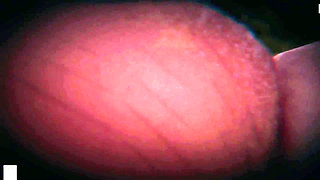 B015 Leg Twist Slave