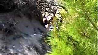 Risky solo my crazy stepmom on public beach