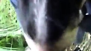 Endnu en dansk video