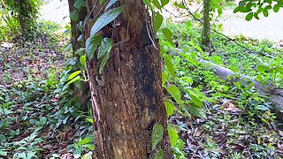 Amateur striptease and Solo masturbation