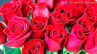 Indian bhabhi Desi Mazaa gets into some family taboo action before sex