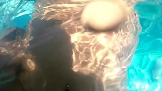 Underwater Deppthroat, Ass Licking, Fucking, Cum Eating