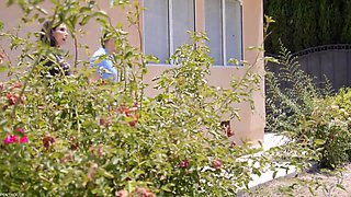 Busty Shay Sights sex story