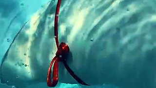 Join Me in the Pool, on My Mv Crush