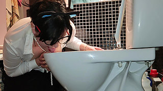 Daddy's Toilet Licking Punishment Humiliation