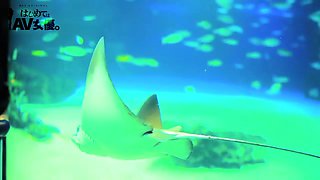 0011586_口淫 黒ギャル へそピなどが含まれている