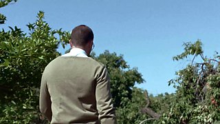 PORNFIDELITY Brandi Love Lives Taboo Fantasy In VR