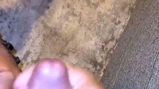 Sexy Slut Gives A Big Cock A Blowjob In The Car