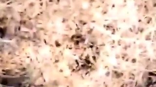 French Amateur Adult Video: Je Mouille Pour Toi