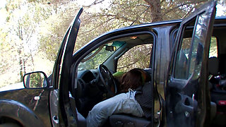 Fleeting sex in the car
