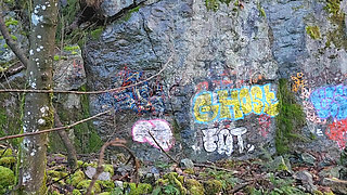 Come Pee with Me! a Compilation